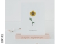 Mobile Preview: Postkarte - Sonnenblume