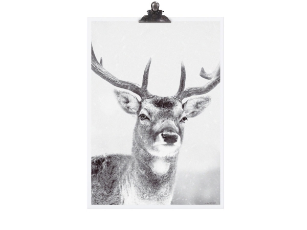 Poster DIN A3 "Rehntier / Deer"